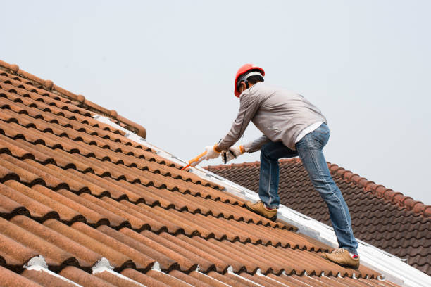 Roof Insulation Installation in Coal City, WV